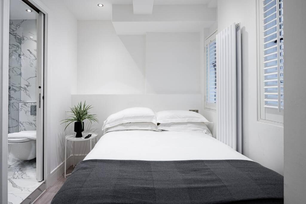Nell Gwynn House One-bedroom Chelsea Ngh244 Londra